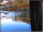 foto Parco Wilhelmshöhe in Autunno